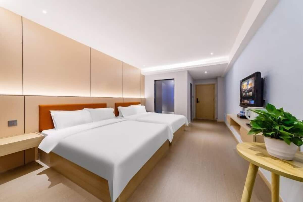 A modern hotel room with a large bed, bedside tables, a TV, and a plant.
