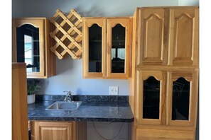 Kitchen area with sink, cabinetry, and a potted plant.