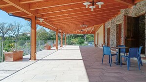 A covered outdoor patio with wooden beams, potted plants, and blue chairs.