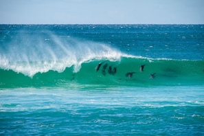 Une grosse vague dans l’océan, sur laquelle des surfeurs chevauchent les eaux.