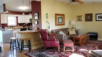 TV connectée, cheminée, lecteur de DVD, livres