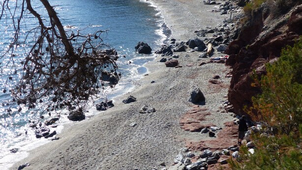 Strand