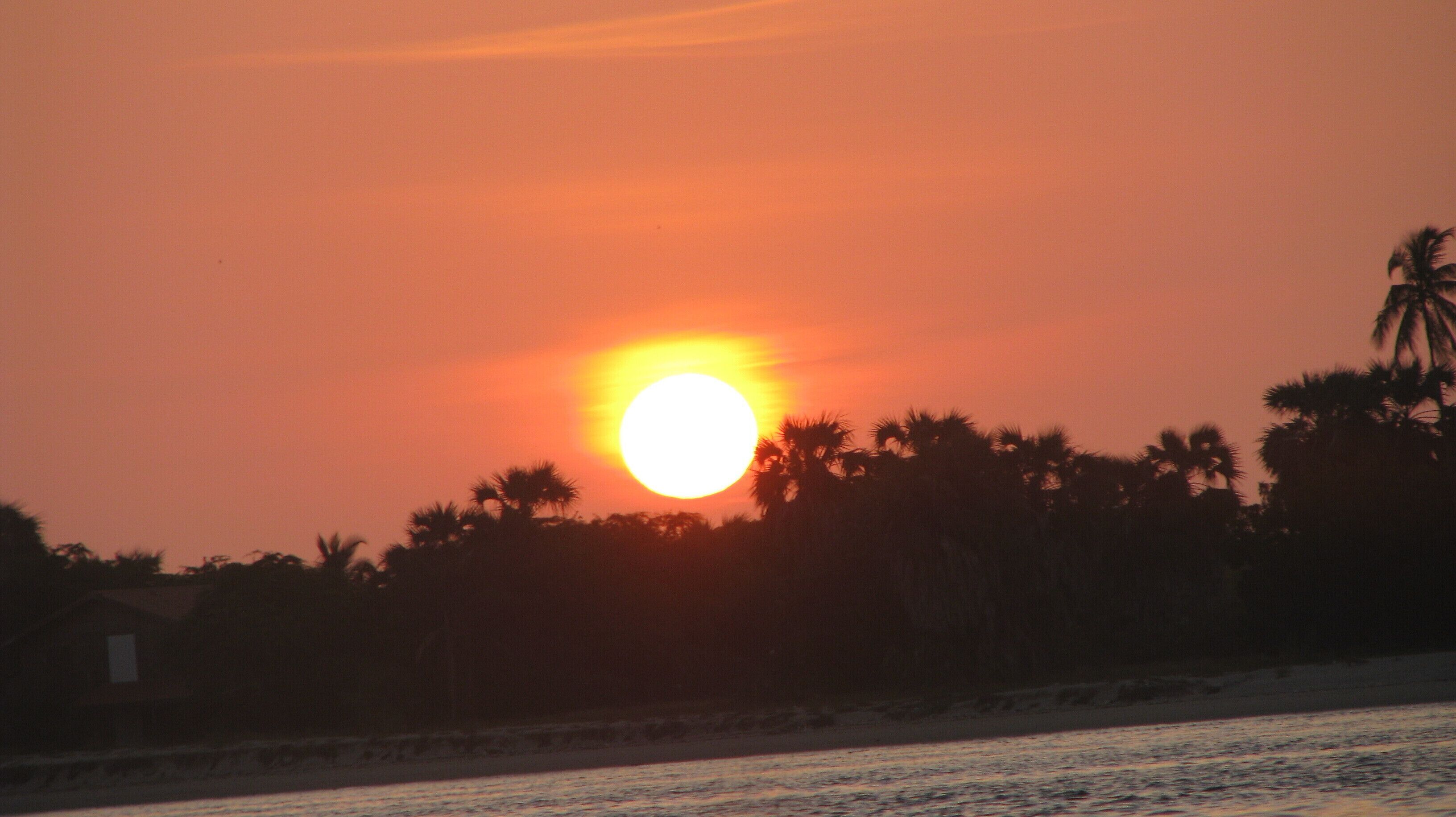 Un atardecer sobre una playa con palmeras siluetas contra el cielo.