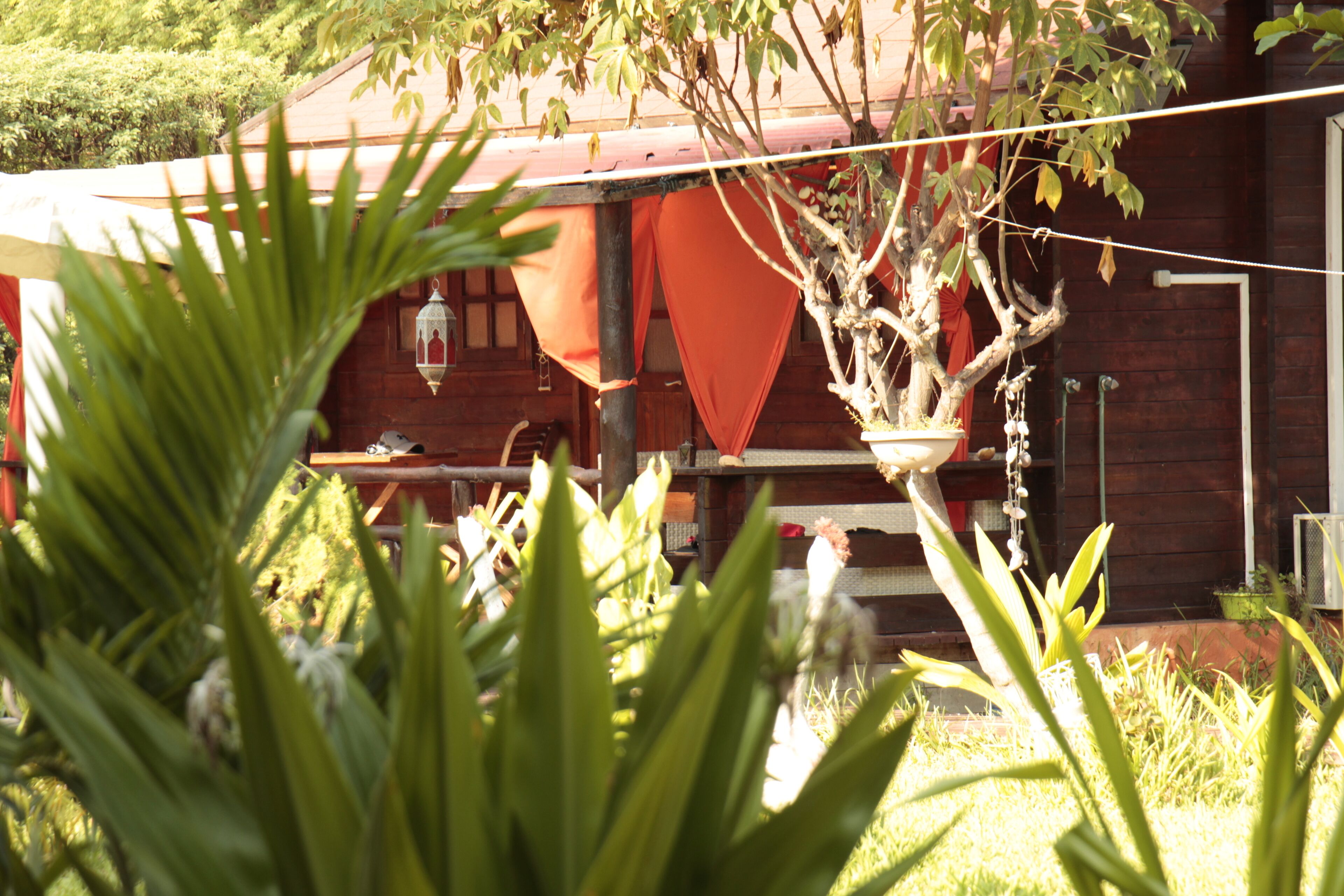 A rustic wooden building with a red roof, surrounded by lush greenery and a hanging lantern.