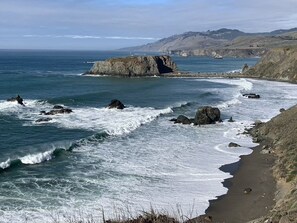 Beach - Cozy Writer's Retreat in the Redwoods - just up the hill from the Russian River! (Guerneville)