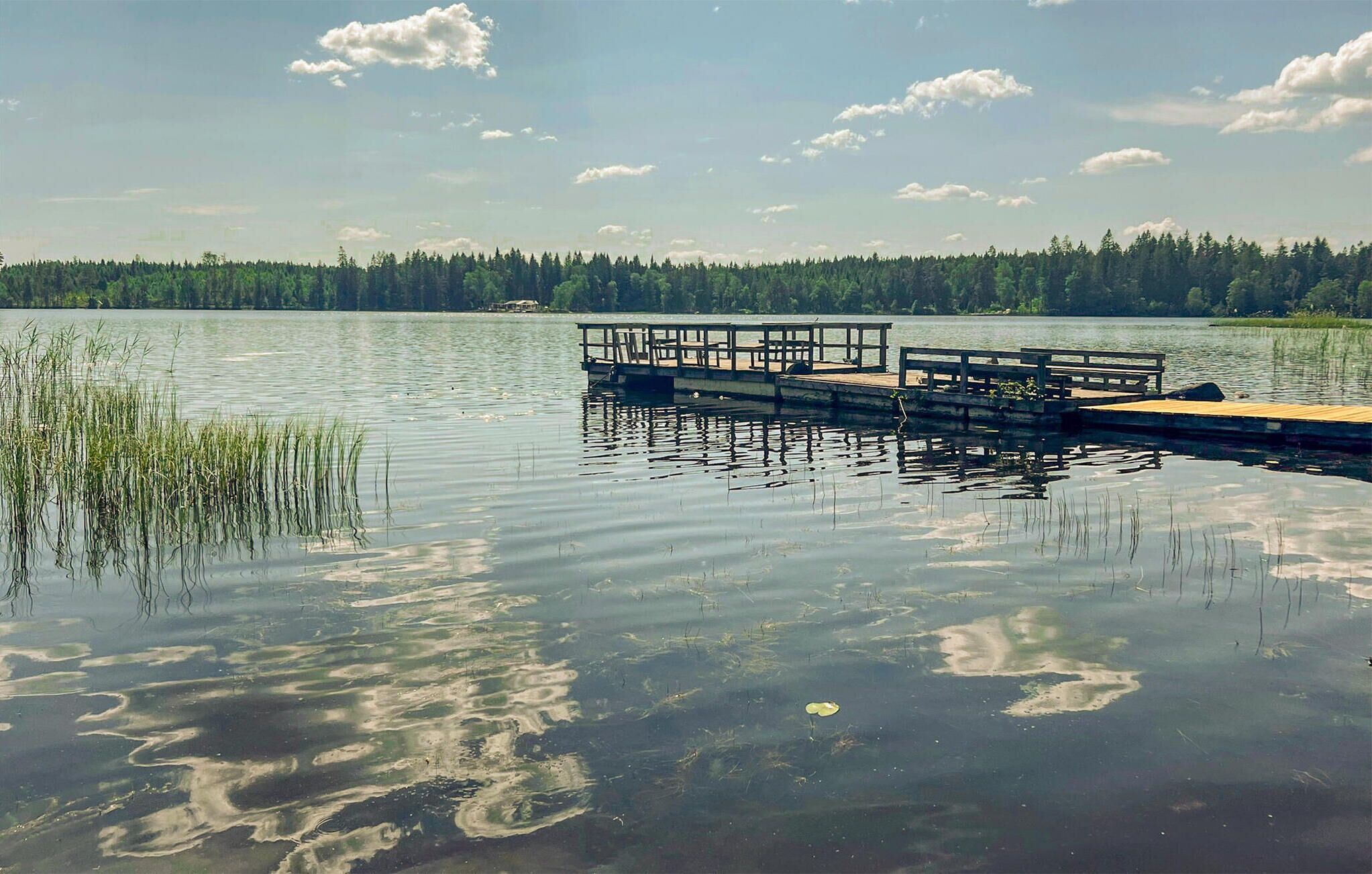 A calm lake with a wooden dock extending into the water, surrounded by dense forest.