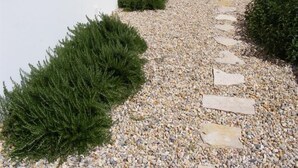 A pathway with pebbles and stepping stones leading to a building. - Casa Ceedina Bed and Breakfast & Beauty (Batalha)