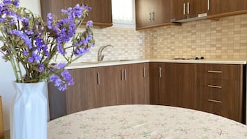 1 habitación, tabla de planchar con plancha y cunas gratuitas