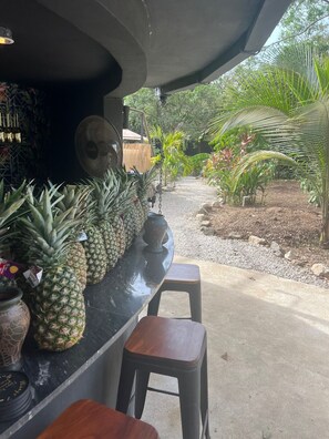 Property grounds - ALL-INCLUSIVE option- 9 casitas up to 30 pax (playa potrero)