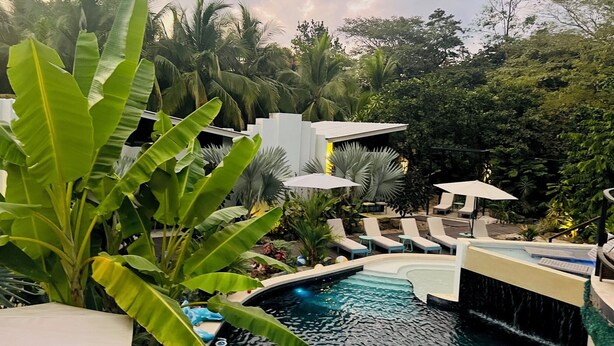 A pool area with lounge chairs and umbrellas, surrounded by lush greenery and a waterfall feature.