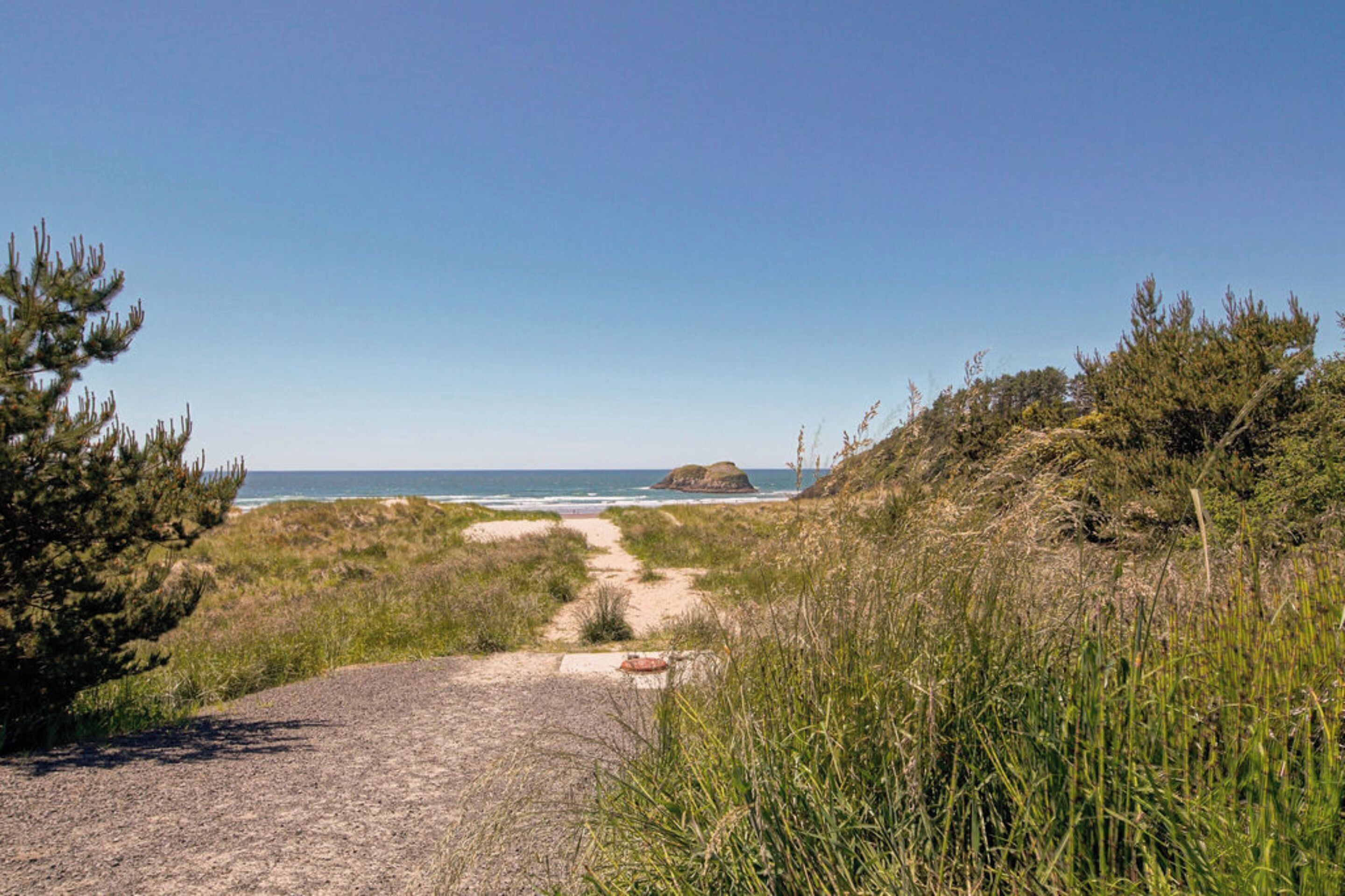 Camino costero que lleva al mar, con zonas verdes y cielo despejado.