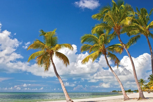 Huis (1 Bedroom) | Interieur