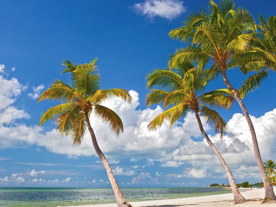 Hus (1 Bedroom) | Innvendig