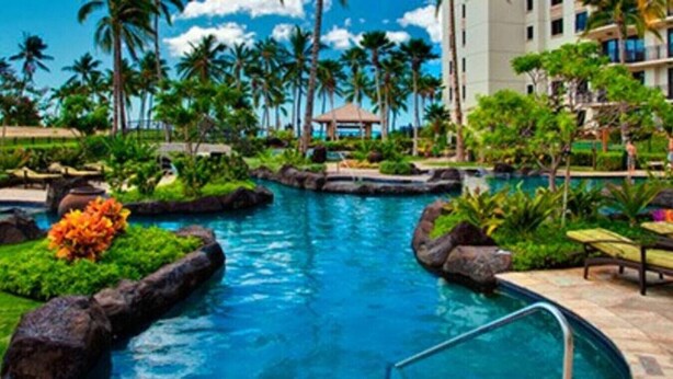A resort pool area with a central water feature, surrounded by palm trees and greenery.
