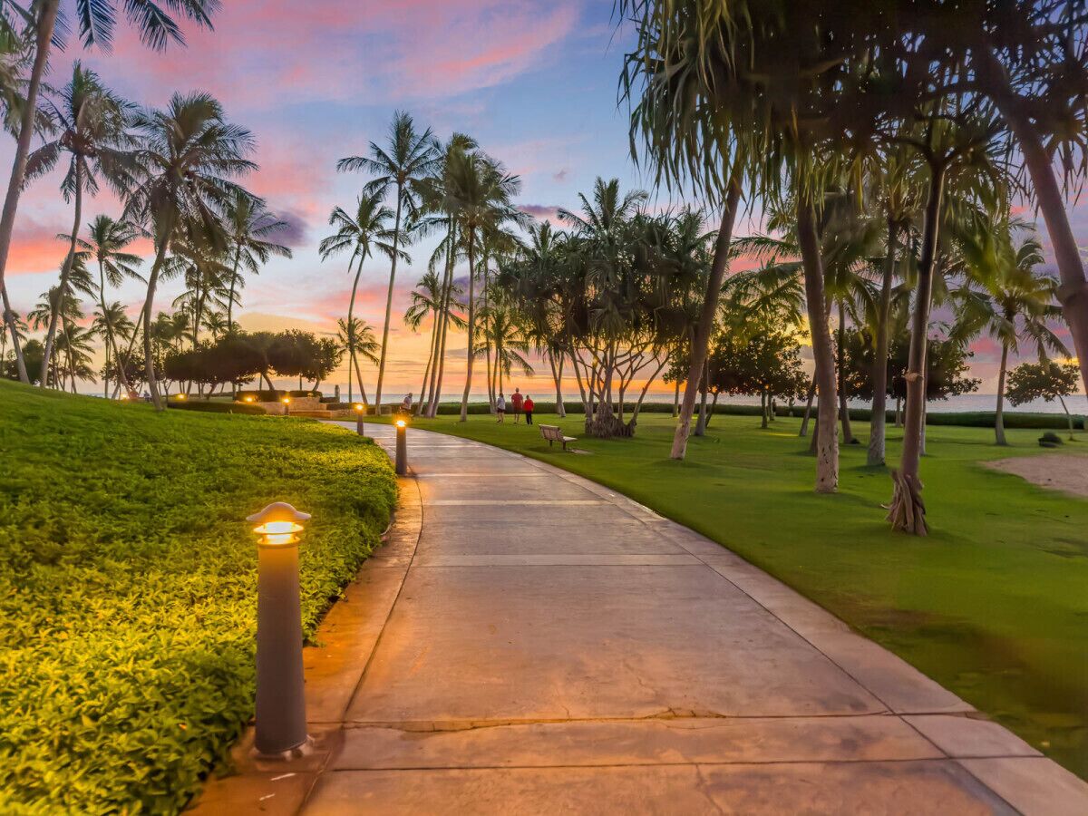 A pathway lined with palm trees and a well-maintained lawn, leading towards a body of water.