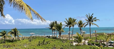 On the beach, sun loungers, beach towels