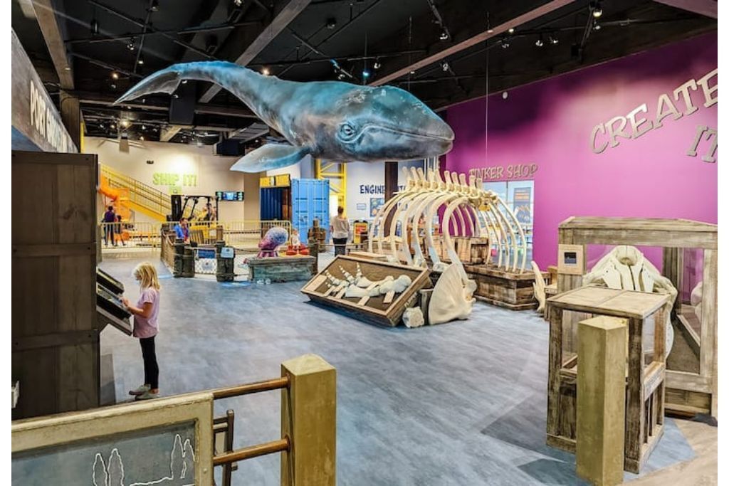 En udstilling på et museum med et stort hval skelet og et barn, der interagerer med en udstilling.