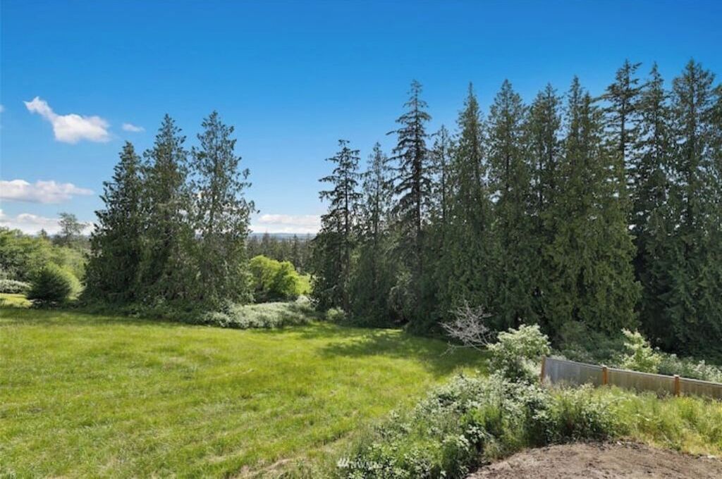 A grassy field with dense trees in the background.