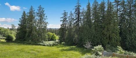 A grassy field with dense trees in the background.