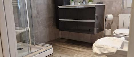 Shower, hair dryer, bidet, towels
