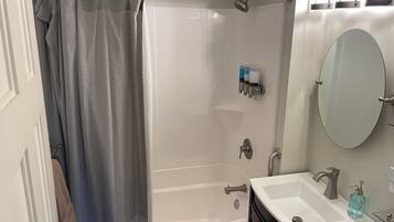 A modern bathroom with a shower, a bathtub, a sink, and a mirror.