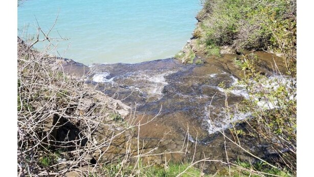 A rocky shoreline with clear water and vegetation. - Lakehouse Vineyard on Lake Erie! (Ripley)