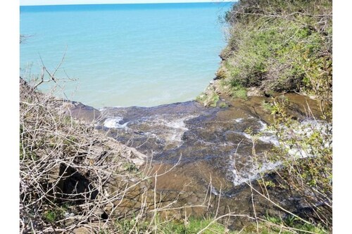Lakehouse Vineyard on Lake Erie!