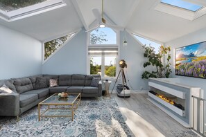 Smart TV, fireplace, books, video library