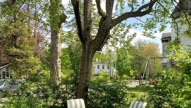 An outdoor seating area with a metal table and striped chairs, surrounded by lush greenery and a large tree. - Historic downtown apartment. Unscented products and sustainability practices. (Northampton)