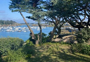 Image sans description, 2 de 15, bouton