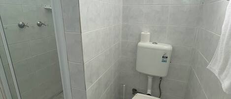 A bathroom with a toilet, a shower, and a window.