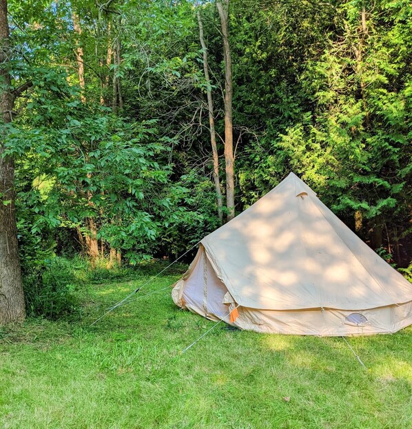 A tent set up in a forested area with dense green foliage and trees in the background.