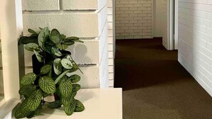 Un couloir aux murs en briques blanches, avec une plante en pot et un luminaire fixé au mur.