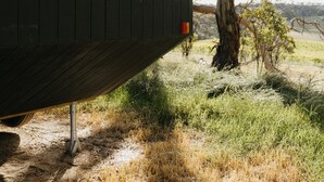 Un bâtiment moderne doté de grandes fenêtres qui reflètent les arbres et le ciel, et qui est entouré d’un paysage naturel.