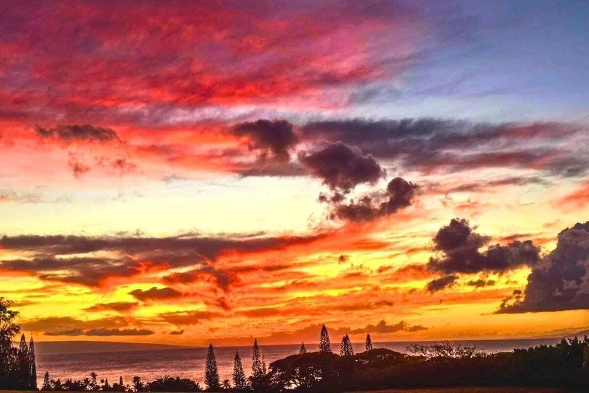 A sunset over a coastal landscape with silhouettes of trees and a distant view of the ocean.