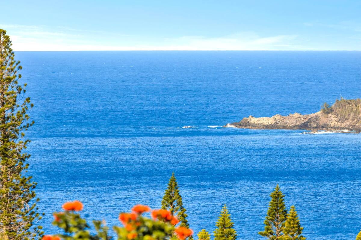 A coastal view with clear blue water, a rocky shoreline, and some vegetation.