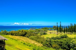 Vista desde la habitación