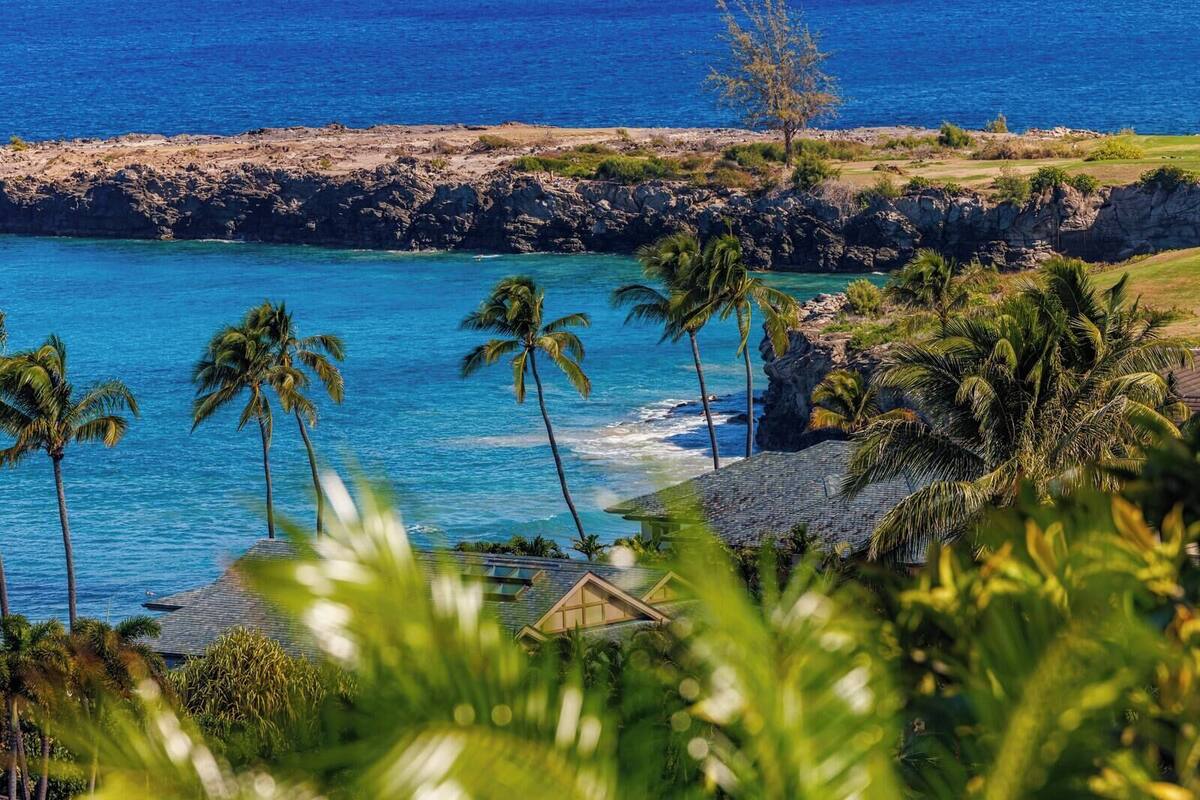A coastal view with palm trees, a rocky shoreline, and a building with a sloped roof.