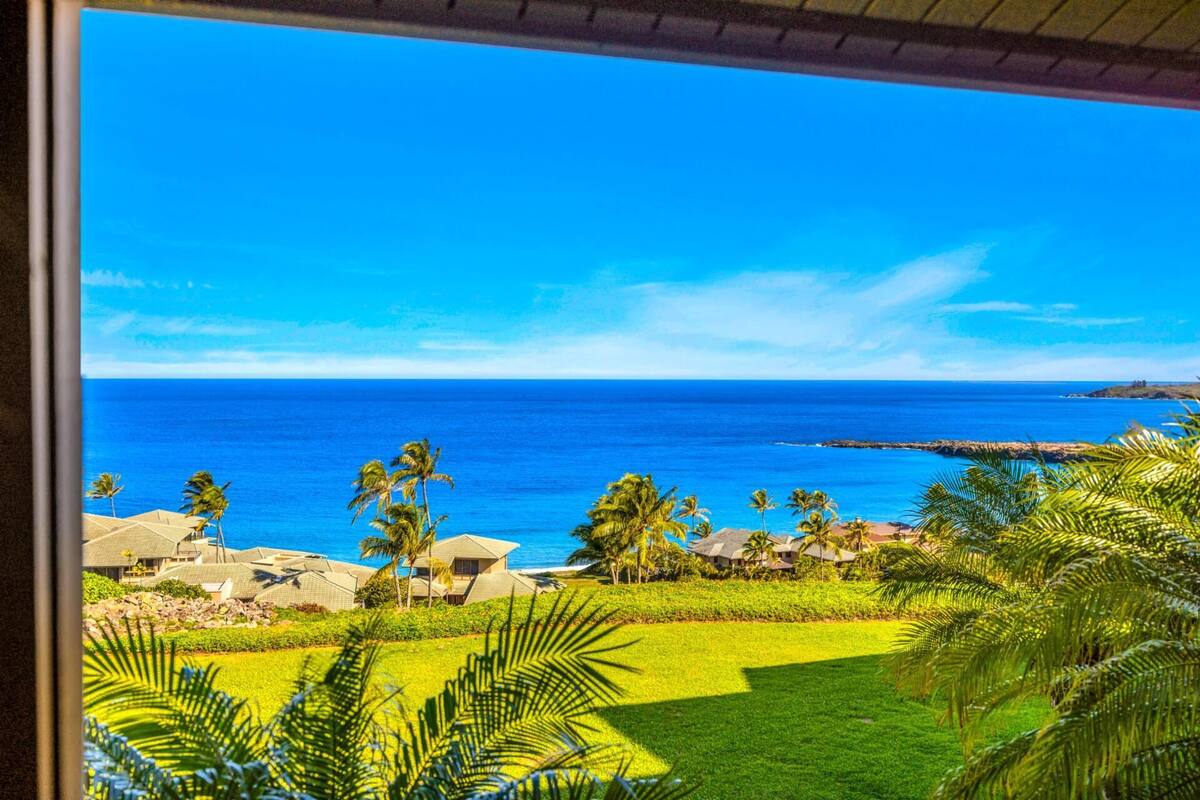 A resort with a view of the ocean, palm trees, and a clear sky.
