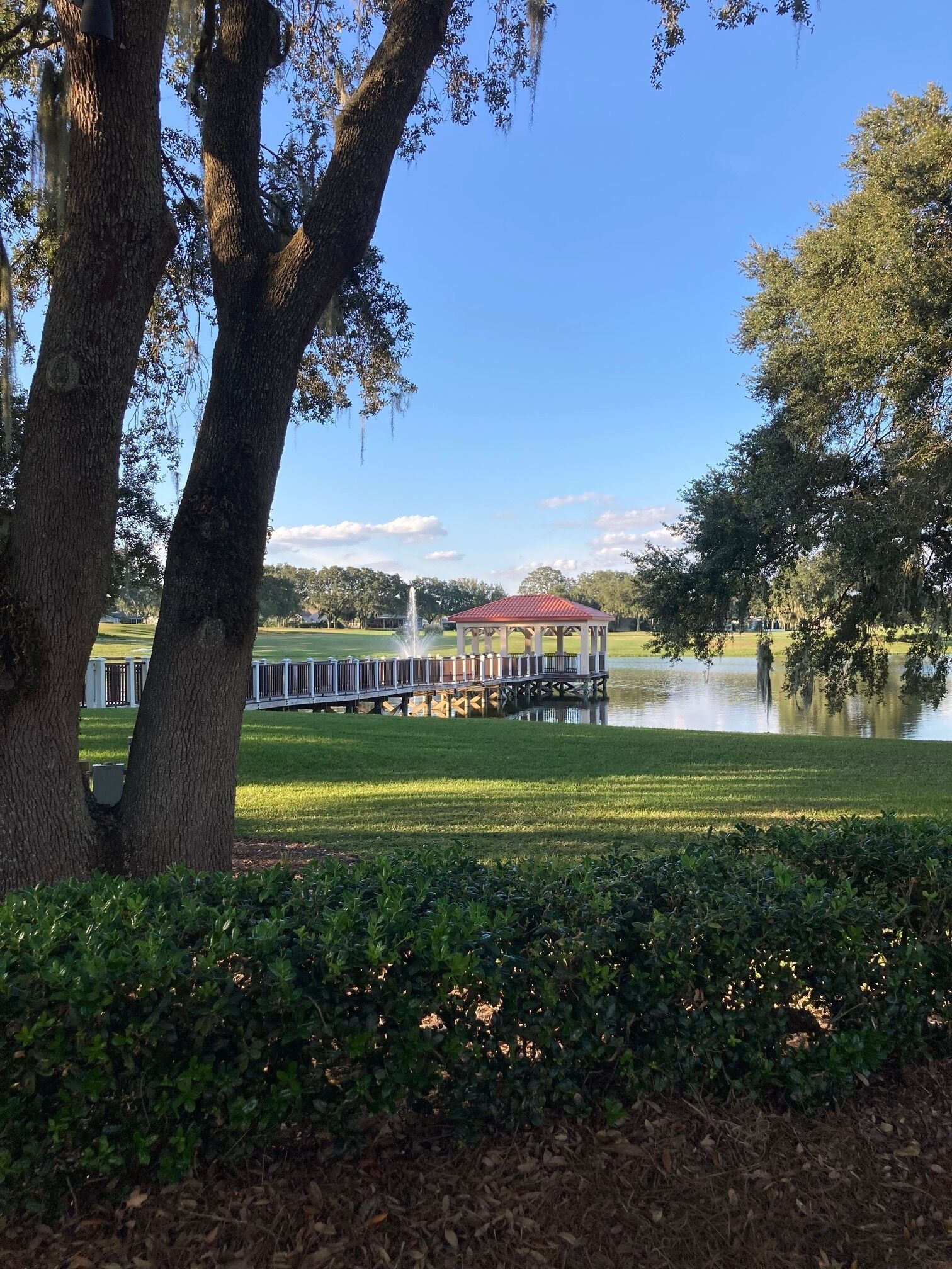 A gazebo with a red roof overlooking a lake, surrounded by trees and a grassy area.