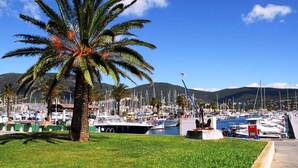 Ein Yachthafen mit vertäuten Booten, eine Palme und ein klarer, blauer Himmel.