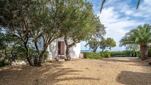 Ein Haus mit Kiesweg, einer Palme und Blick aufs Meer.