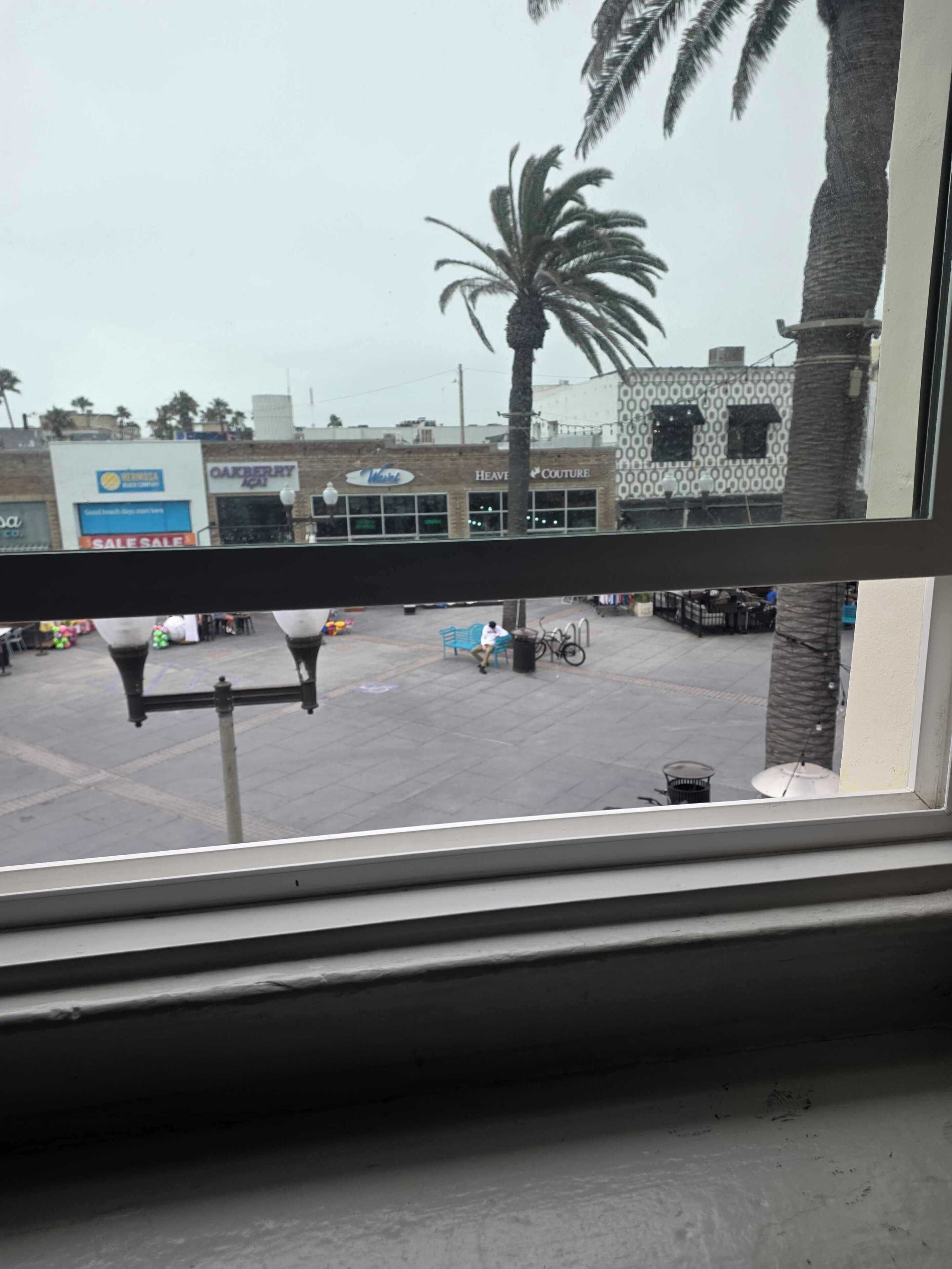 A view through a window of a parking lot with a palm tree, a building with a sale sign, and a bicycle.