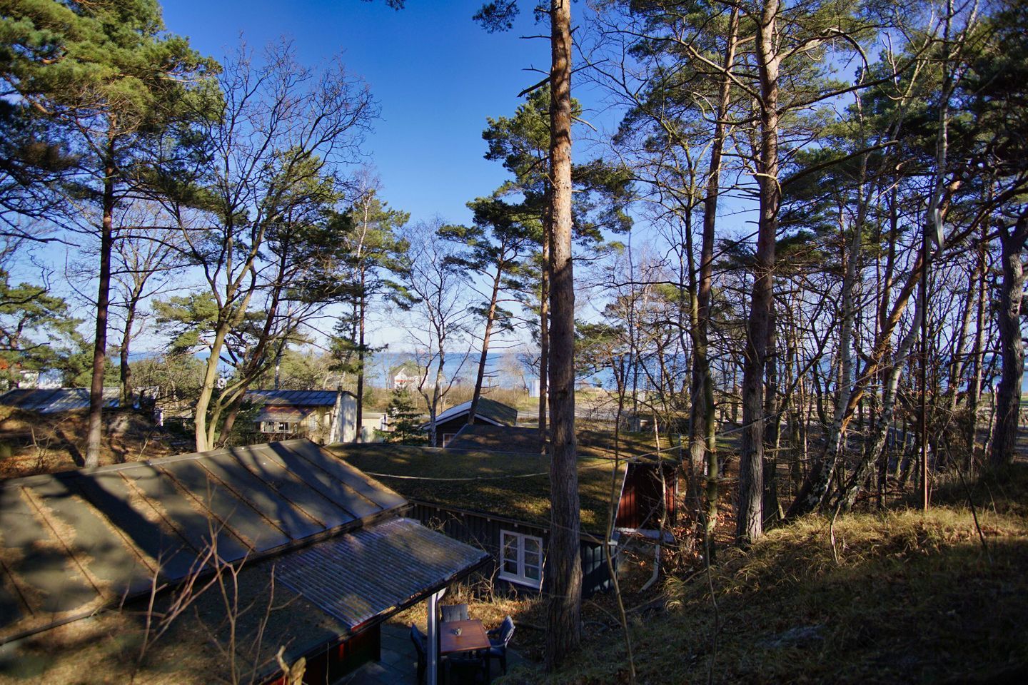 A rustic cabin surrounded by tall pine trees, with a clear view of the mountains in the background.