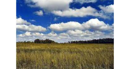 Horse friendly property