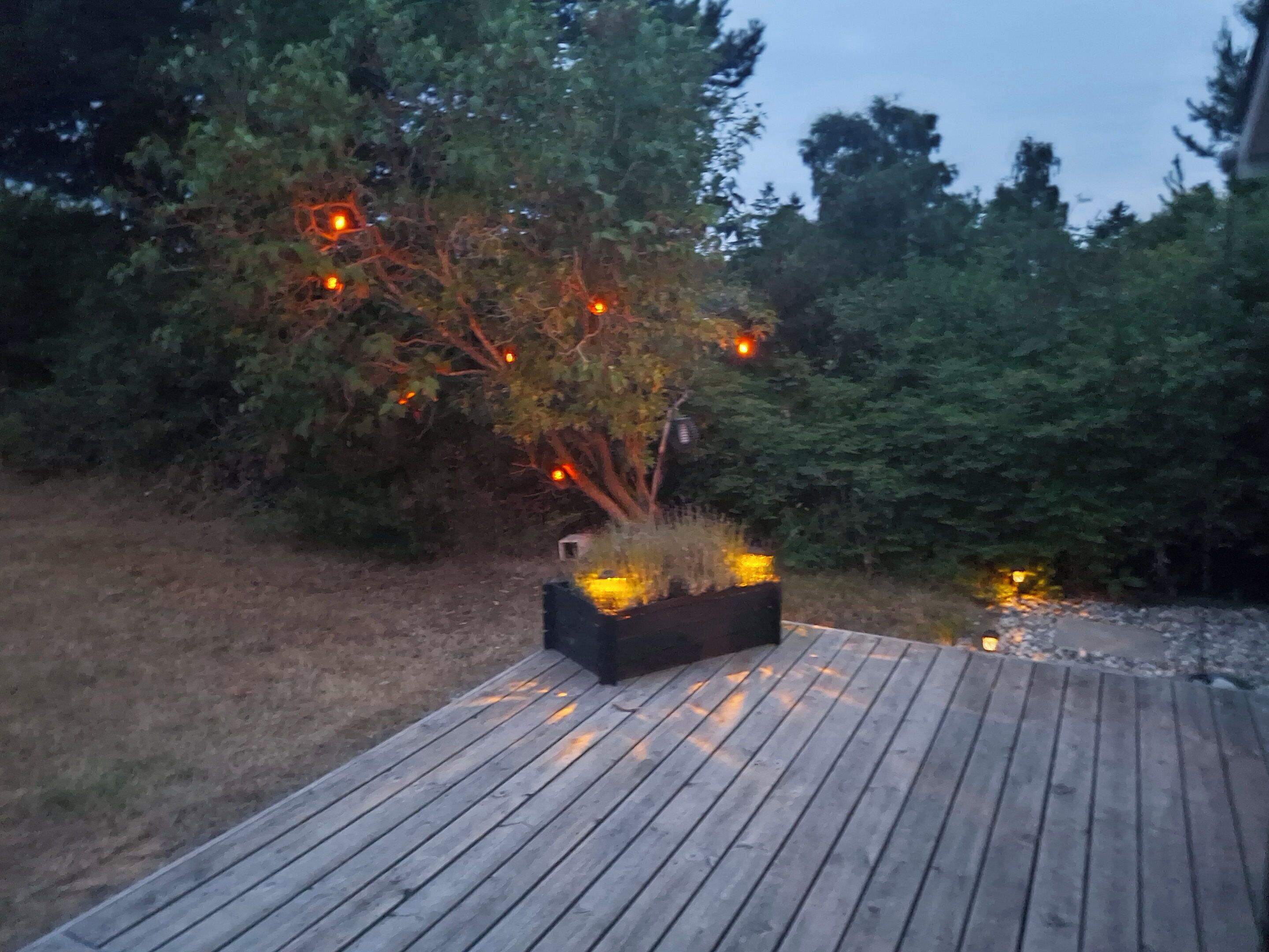 Eine Holzterrasse mit einem Pflanzkasten, der Pflanzen und Lichter enthält.