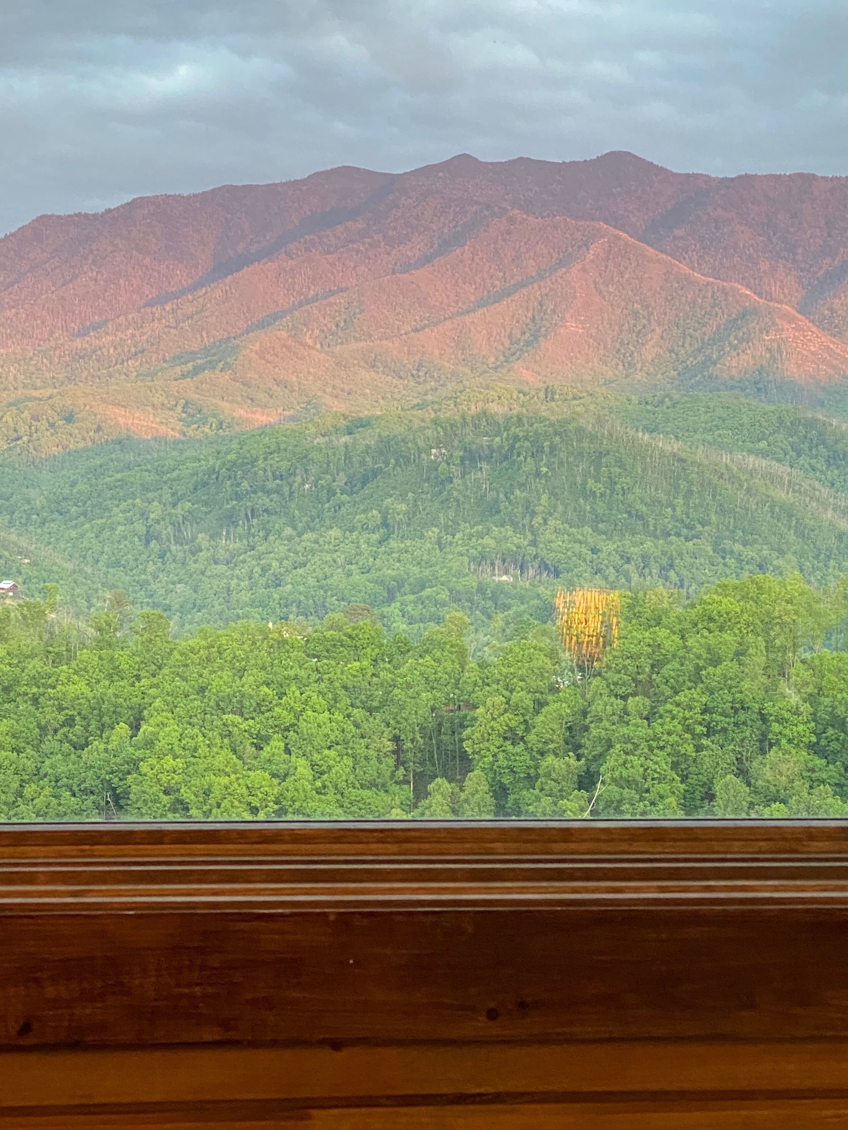 A view of a forested mountain range through a window with wooden frames.