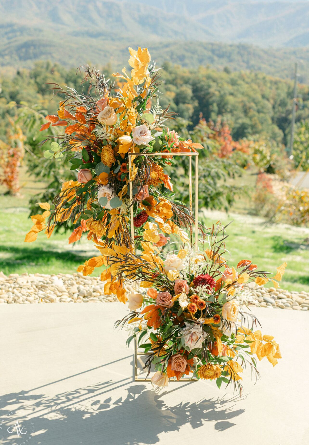 Une arche de cérémonie de mariage agrémentée de compositions florales dans un cadre naturel.