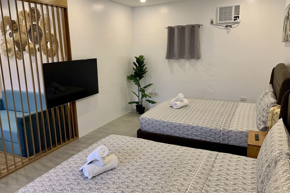 Een hotelkamer met twee bedden, een televisie, een kamerplant en een raam met gordijnen.