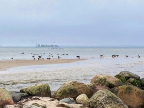 Una spiaggia con rocce in primo piano e una nave all'orizzonte.